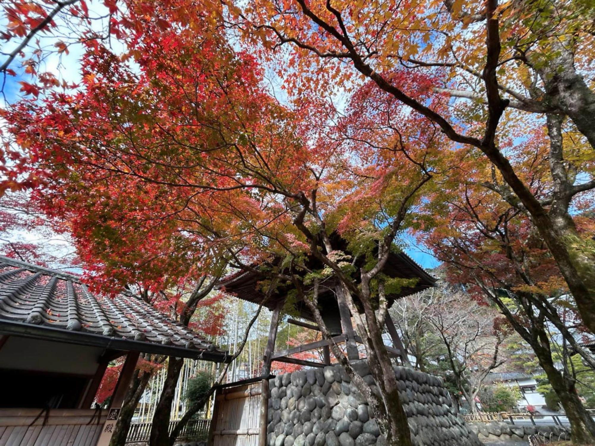 Shuzenji Onsen Hotel Takitei Izu  Exteriér fotografie